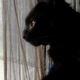 KENAÏ ♥♥♥♥♥♥♥♥♥♥♥♥♥