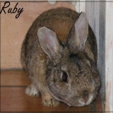 Ruby