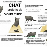 Surveillez vos chats !!!