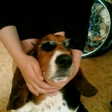TINO mon copain !!!