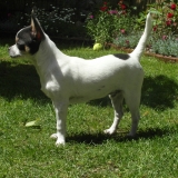 Billy
