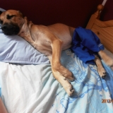 cooper