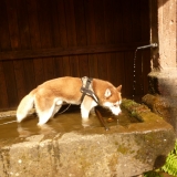 Moi dans la fontaine !! HAHA elle était bonne ...