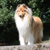 Fonzy prend la pose...