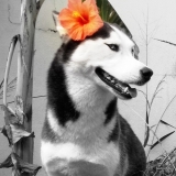 EKEENA