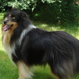 Bouba
