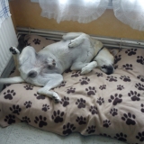 mon lit