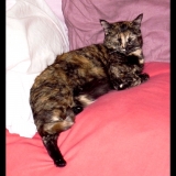 en mode sieste !