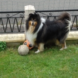 Bouba
