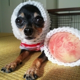 Peaches!