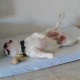 C dure la vie !!!!!