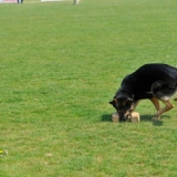 fidji an ratrapan un poi