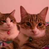 Tranquille avec Bubulle :)