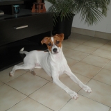 Lily