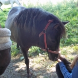 Winny