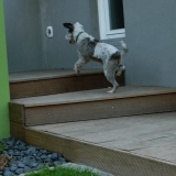 Et hop hop hop :)