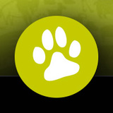 L'équipe Yummypets 