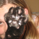 la team des jolies patounes