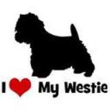 LA TEAM DES WESTIES