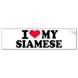 LA TEAM DES SIAMOIS