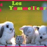 Les Yummeilleurs !