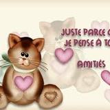 Pour tout les petit chat nos a