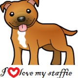 staffordshire Bull Terrier TEA