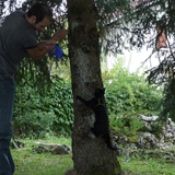 Papa m'apprend à monter aux arbres! ♥