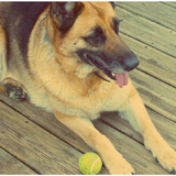 Roxy