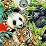 Team Protection des animaux   