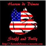 la team des bully et des staff