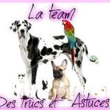 La team des trucs et astuces
