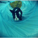Dans le tunnel *.*