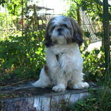 Billy