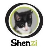 Shenzi 