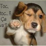 un petit peu d' humour !!!