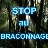 teams contre le braconnage
