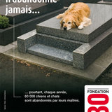 Non à l'abandon!!!