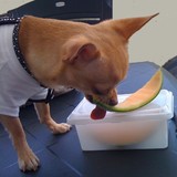 moi gourmand ? Nonnnn^