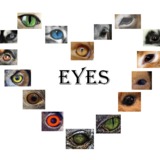 La team des yeux d'or