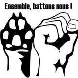  NON A L'ABANDON 