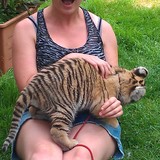 Maman et Zeus