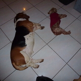 même position!