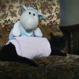 Minette