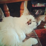 Fluffy