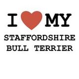 Les Staffies 