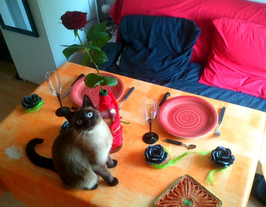 Au coucher du Soleil