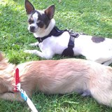 Nous au parc !