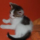 Bébé Fléo &hearts;