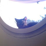 Blacky